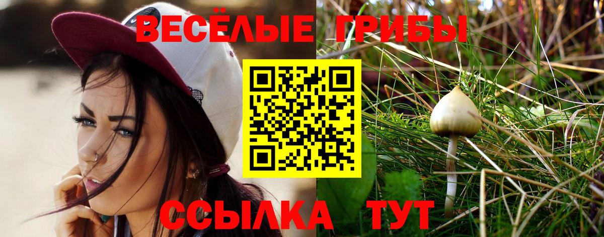 Галлюциногенные грибы Psilocybine cubensis Семилуки